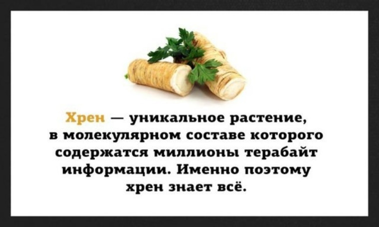 Картинки хрен знает