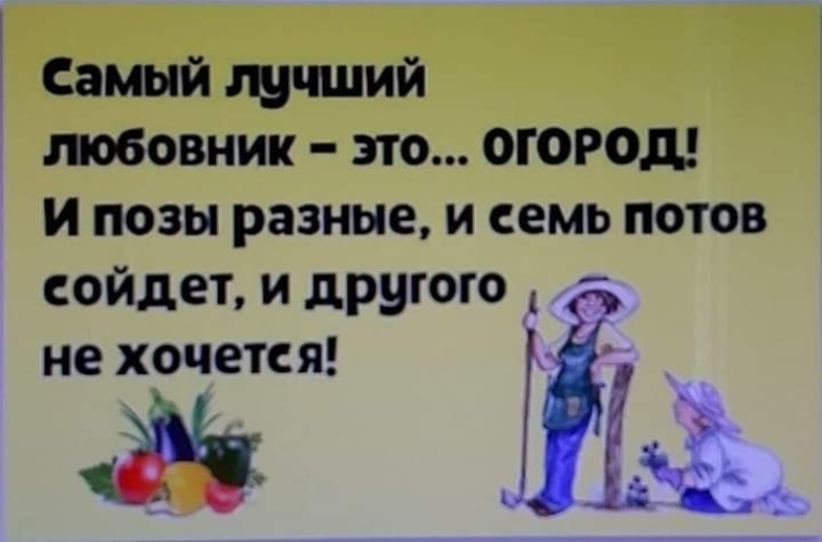 Хреновый спортсмен но отличный любовник Хреновый спортсмен но отличный любовник