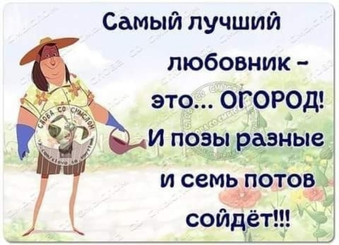 Картинки Про Утро Вторника