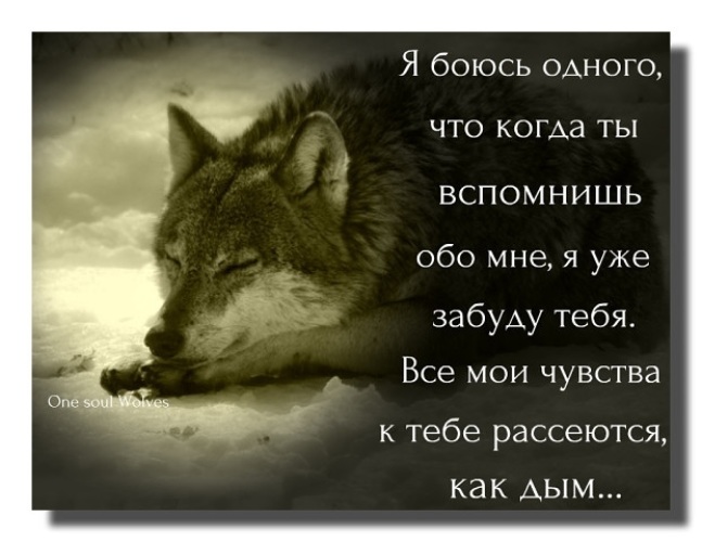 Вспомни обо мне. Когда-нибудь ты вспомнишь обо. Когда-нибудь ты вспомнишь обо мне. Когда нибудь ты вспомнишь. Ты вспомнишь обо мне стихи.