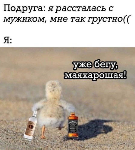 Что приходил чего хотел мем Лента по интересам - Юмор - 2868942 - Tabor.ru