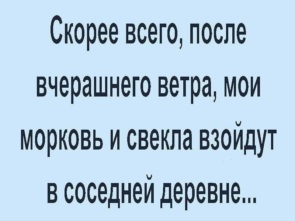 3232304_295x460.jpg