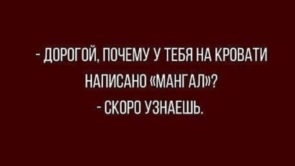 3232452_295x460.jpg