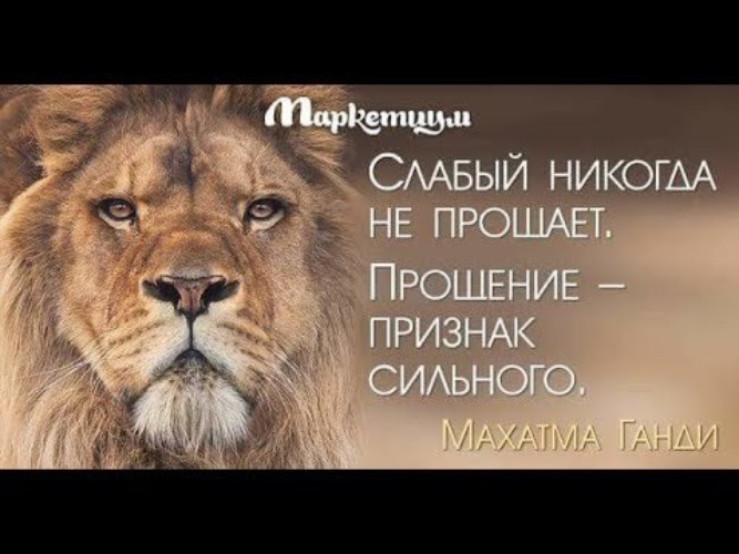 Лев цитаты картинки