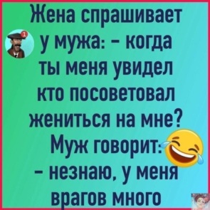 3232232_295x460.jpg