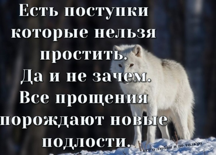 А все таки как хорошо когда за спиной много глупостей и ни одной подлости картинки