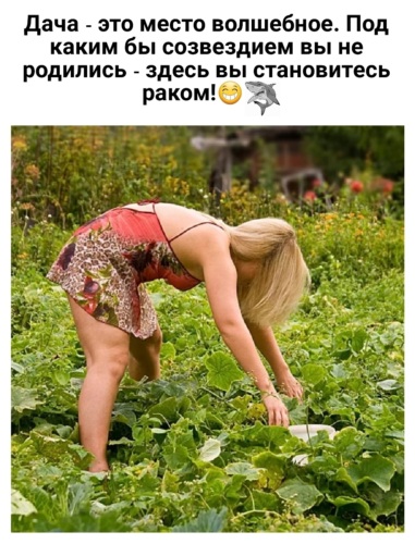 Фото голых раком на даче Лента по интересам - Юмор - 2908323 - Tabor.ru