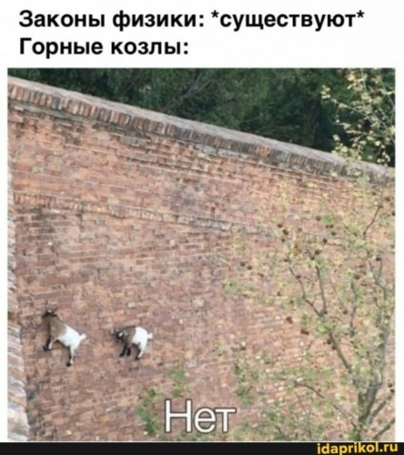 Я не договорила картинка