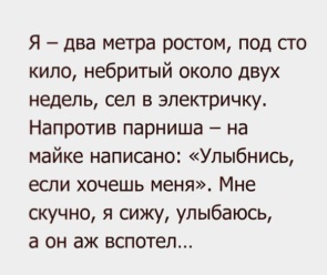 3276471_295x460.jpg
