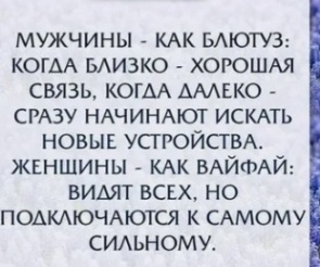 3279616_295x460.jpg