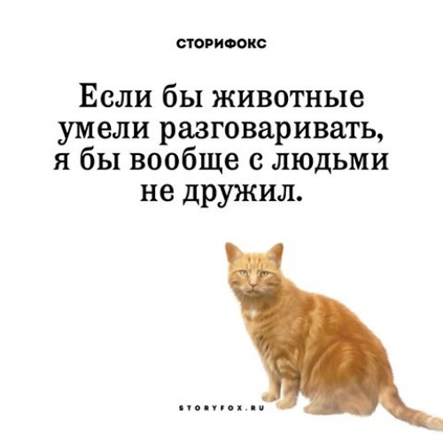 Что умеет говорящий. Если бы животные могли говорить. Животные умеют разговаривать. Животные умели разговаривать. Чтобы сказали животные если бы умели говорить.