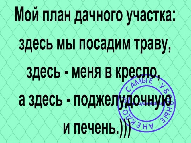 Я вошел в кабину меня усадили в кресло бесшумно захлопнули люк