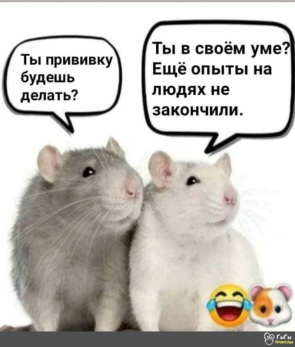 Новый Год Встретили Осталось Новый Год Встретили Осталось