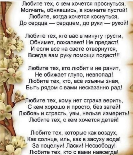 Лента по интересам - 1584662 - Tabor.ru