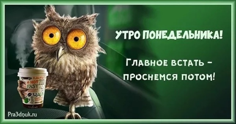 Бодрого понедельника картинки прикольные с надписями