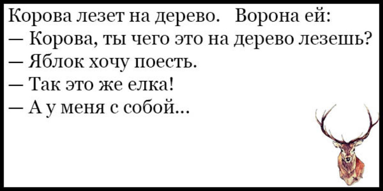 Очень смешные фразы до слез короткие. Смешные цитаты до слез. Очень смешные цитаты до слез короткие. Смешные цитаты до слёз.