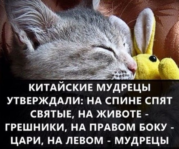 Интересный факт из жизни пример Лента по интересам - 3117843 - Tabor.ru
