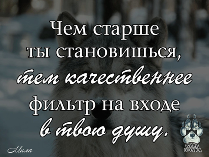 Ты старая а мне нужна молодая. Чем старше становишься ты тем больше. Чем старше становишься тем больше. Картинки чем старше становишься тем. Чем старше становишься тем меньше.