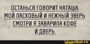 3507076_295x460.jpg