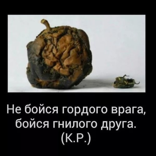 Как выглядят гнилые люди