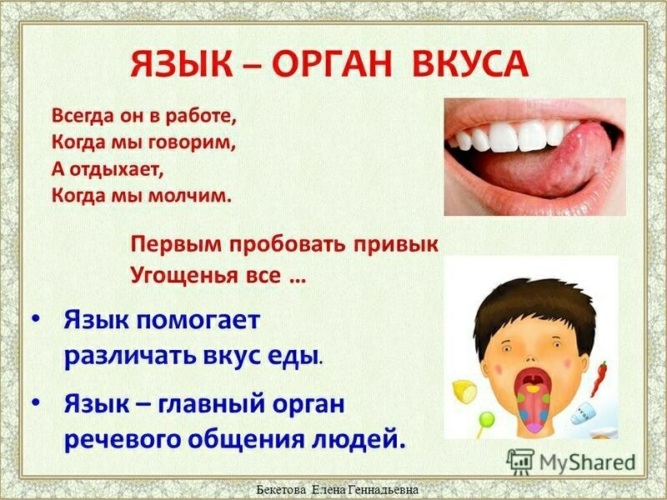 Скачать презентацию для класса Органы чувств человека (2 класс) бесплатно