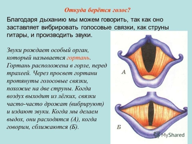 Свойства речи и свойства текста