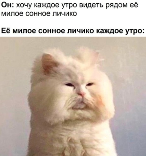 Невысыпающиеся