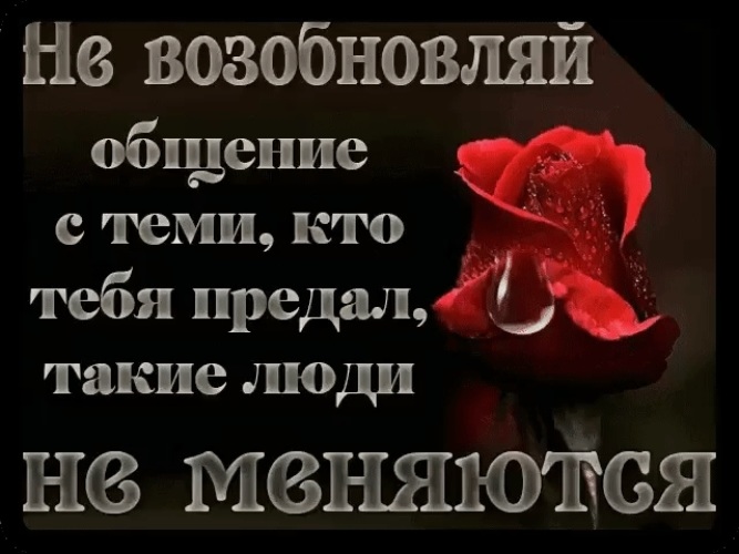 Предатель ты меня не заменишь. Подлость нельзя прощать. Простить подлость. Можно простить глупость но нельзя. Подлость невозможно простить.