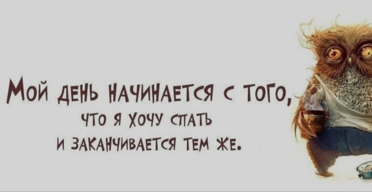 Начался или начался. Все уснут а я останусь. Все уснут а я останусь Сова. Статусы про недосып прикольные. Доброе утро в обед цитаты.