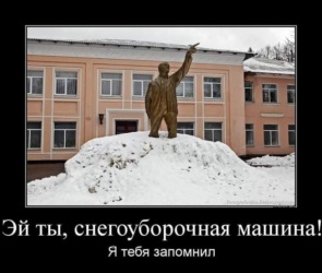 https://p7.tabor.ru/feed/2022-01-11/7860591/3623319_295x460.jpg