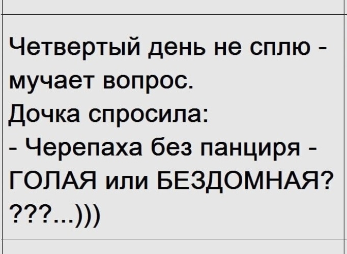 Что получится если сварить русалку мясной суп или уха