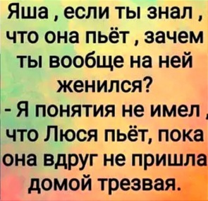 3657858_295x460.jpg