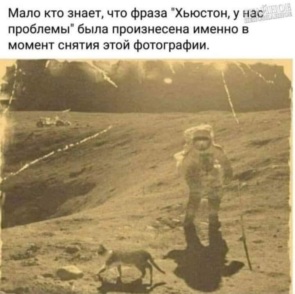 3658916_295x460.jpg