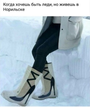 3662994_295x460.jpg