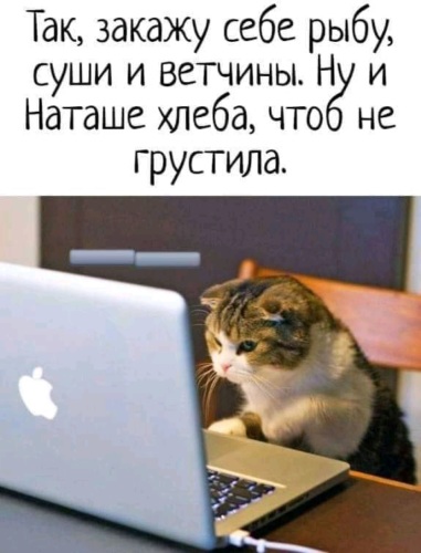 Лента по интересам - Юмор - 3297201 - Tabor.ru