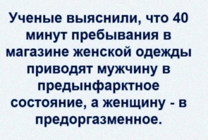 3672397_295x460.jpg