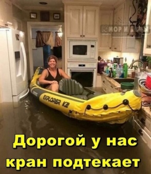 3673634_295x460.jpg
