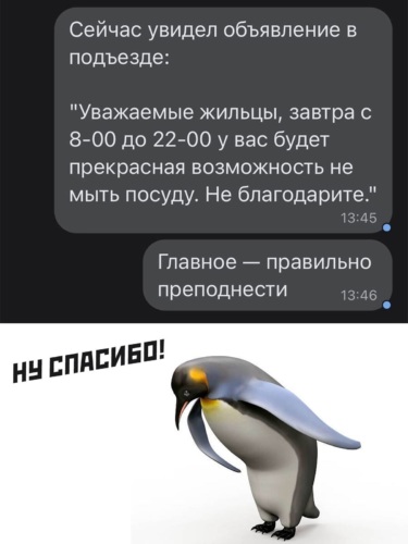Пингвин кланяется мем