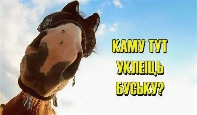 Ты даже не знаешь какое. Держи буську. Держи буську. Доброе утро буська. Отправил мем.