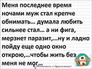 3709310_295x460.jpg