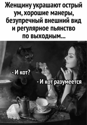 3708749_295x460.jpg