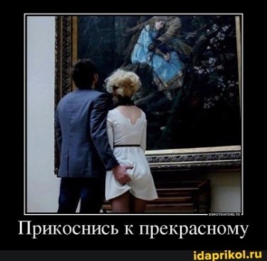 3711548_295x460.jpg
