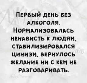 3711535_295x460.jpg