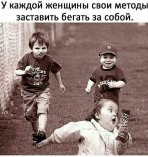 3717753_295x460.jpg