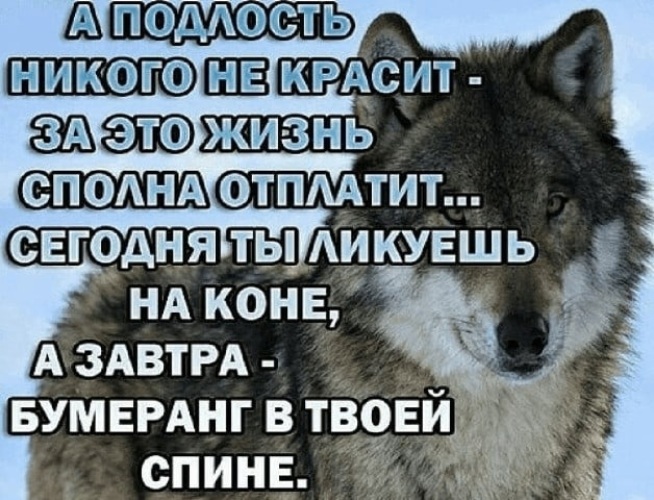 Твоя спина белая. Закон бумеранга еще никто не отменял. Статусы про Бумеранг в жизни. А подлость никого не красит. Подлость и Бумеранг.