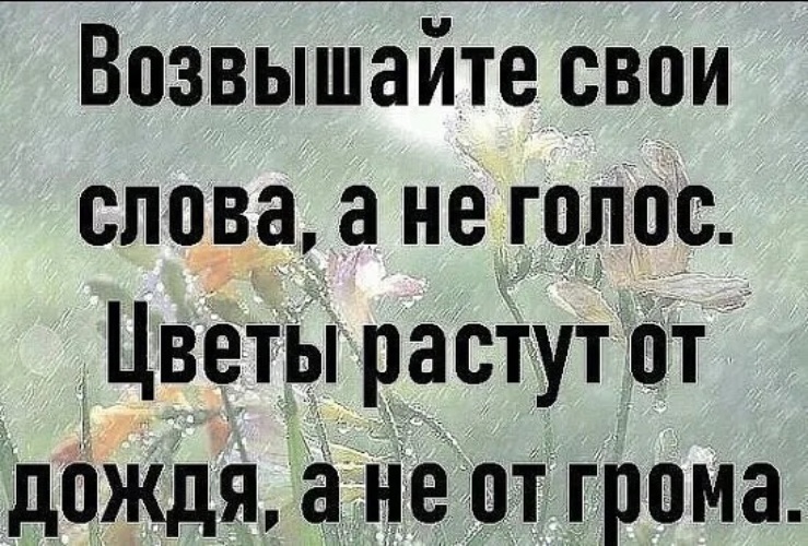 Голоса цветов. Возвышайте свои слова а не голос. Цветы растут от дождя а не от грома. Выбирайте слова и не повышайте голос. Выбирайте слова и не повышайте голос цветы.