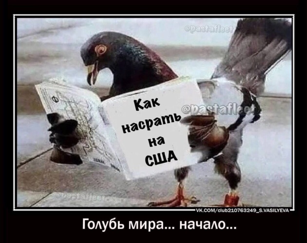 Людское мем с голубем и руками 2025