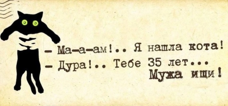 Цитаты про котиков