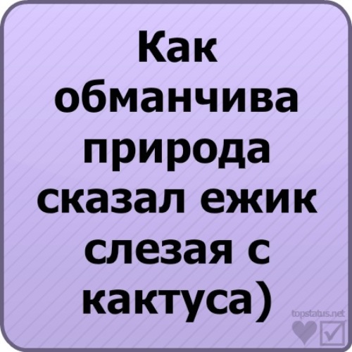 Самые Ржачные Картинки До Слез