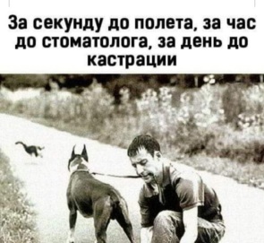 3796448_295x460.jpg